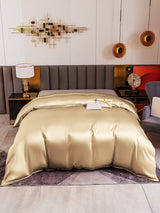 [Beige] SilkSilky-NO 19Momme Duvet Covers 002