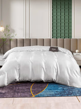 [Sølv] SilkSilky-NO 25Momme Duvet Covers 002