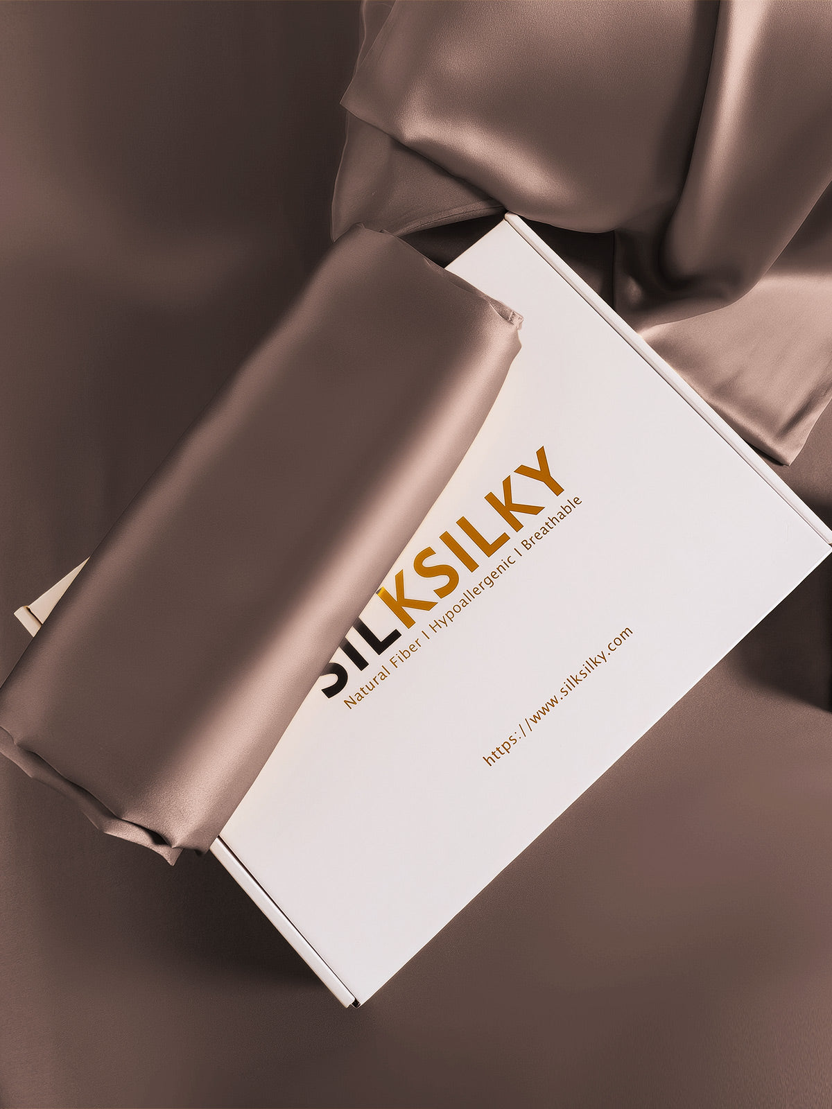 [Brun] SilkSilky-NO 19Momme Pillowcase 006