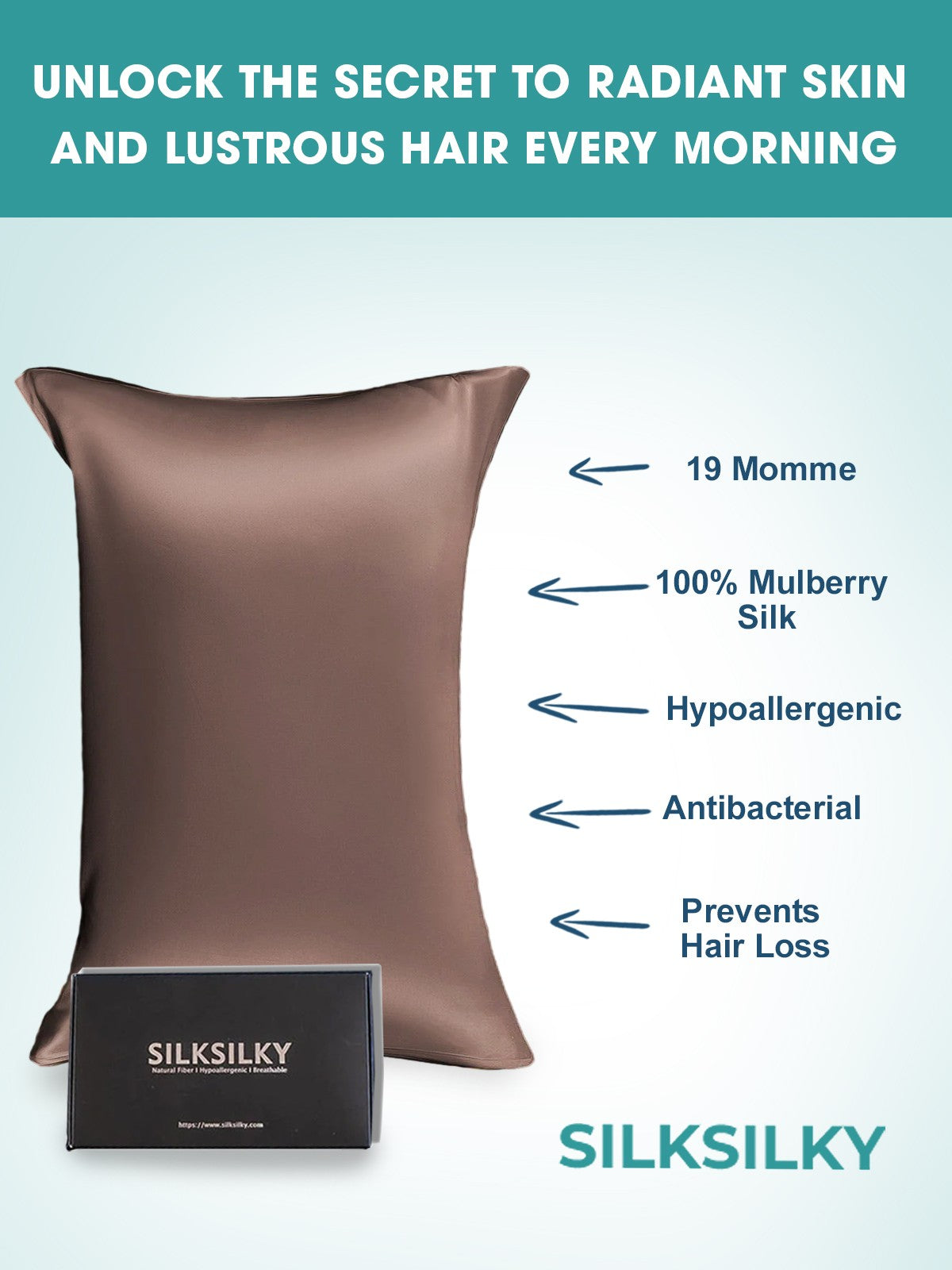 [Brun] SilkSilky-NO 19Momme Pillowcase 002