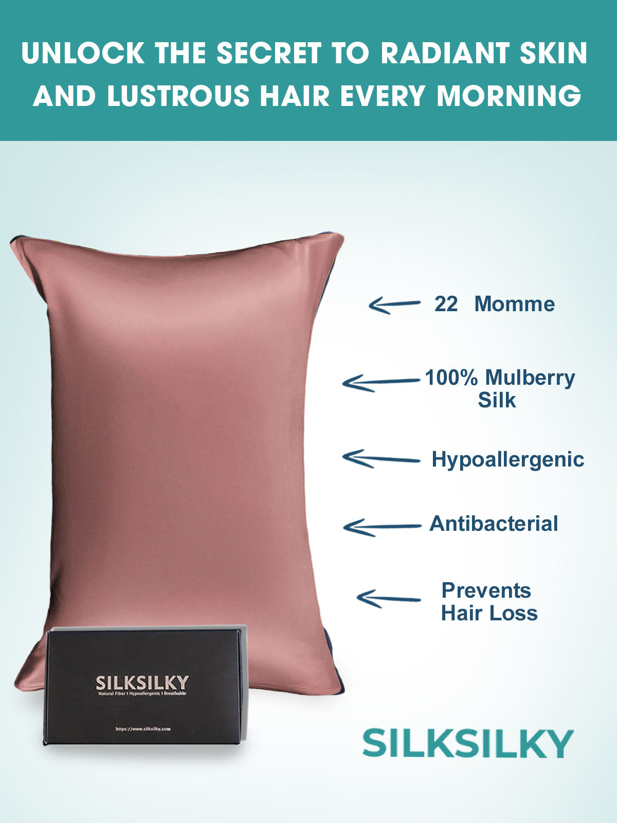 [Blek Mauve] SilkSilky-NO 22Momme Pillowcase 003