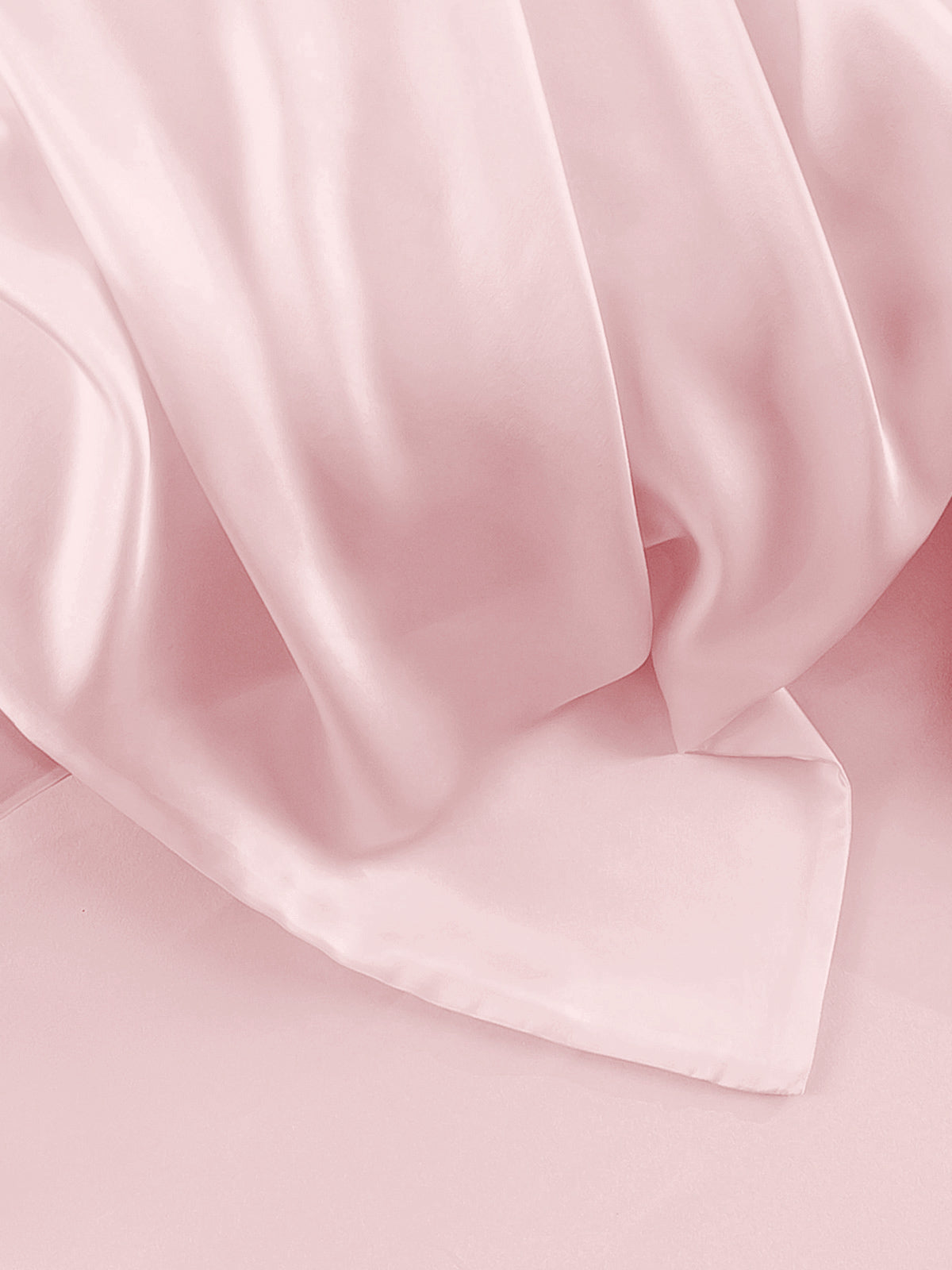 [Rosa] SilkSilky-NO 19Momme Pillowcase 007