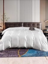 [Sølv] SilkSilky-NO 22Momme Duvet Covers 001