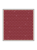 [Vin] SilkSilky-NO Scarf 001
